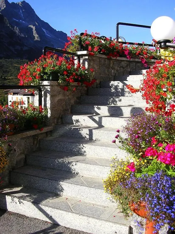 Hotel Orchidea Passo del Tonale 3*,